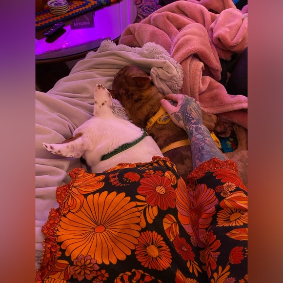 Meet your Posher, Kristy - Picture 4 of 6